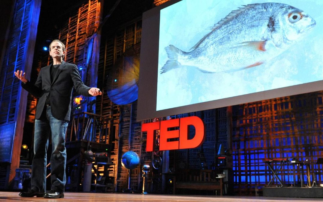 我如何愛上一條魚