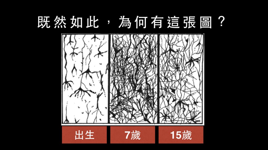 我是我的腦神經網絡體