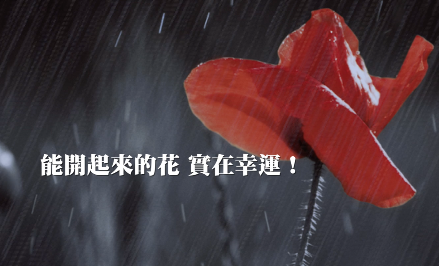 讓生活變美：思想規模｜姚仁祿的人生哲學