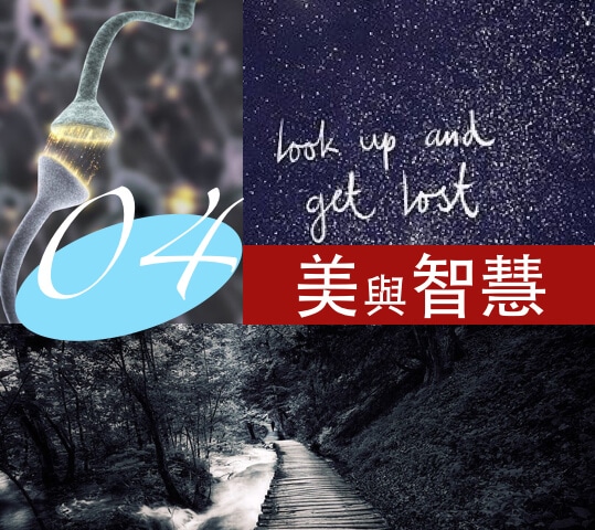 美與智慧｜美感 深藏您內心的最神祕力量5-4