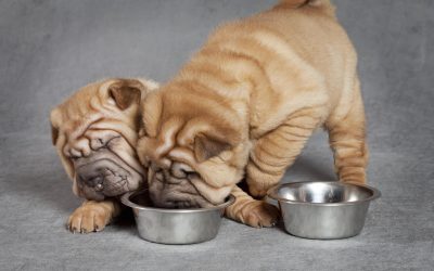 人類的力量，已超乎自然….