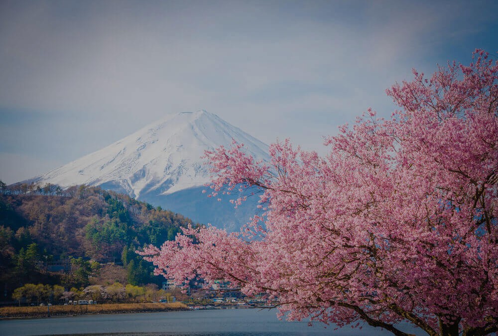 日本的美學漫步（電影、旅行、攝影）｜阮義忠