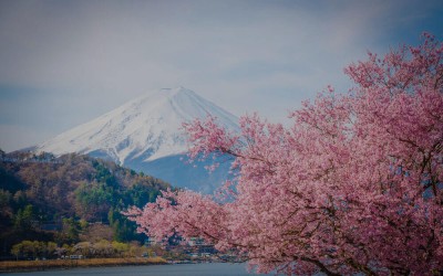 日本的美學漫步（電影、旅行、攝影）｜阮義忠