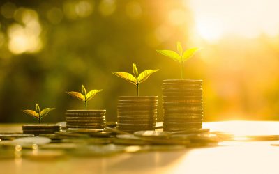 「美感驅動」的經濟:美醜,如何透過文化傳染?