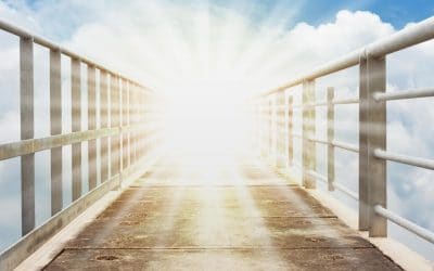 音樂與建築的跨界對話