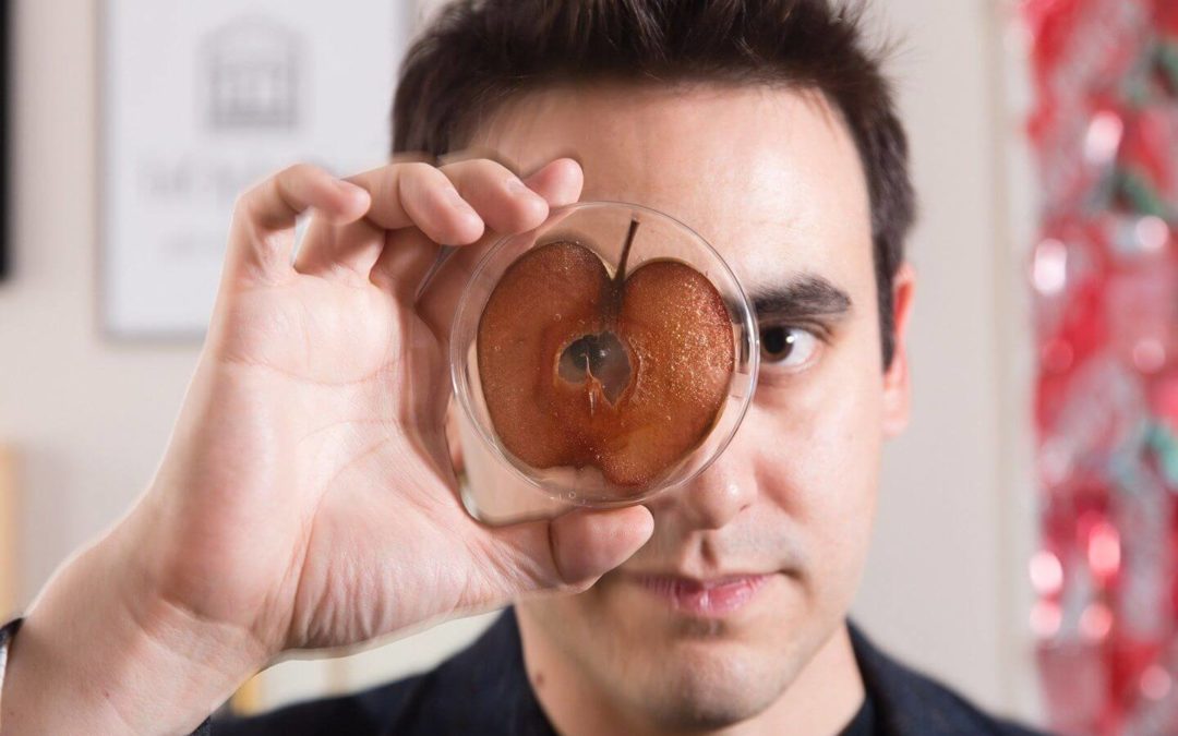 用蘋果培養出耳朵（安德魯·佩爾霖）