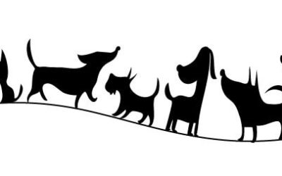 迎向寵物時代，你是個好主人嗎？