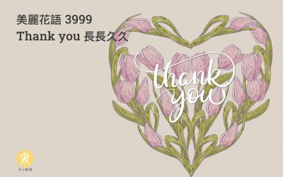 美麗花語 3999 Thank you 長長久久