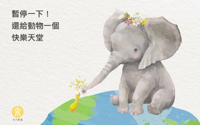 暫停一下  還給動物一個快樂天堂