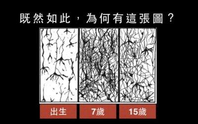 我是我的腦神經網絡體